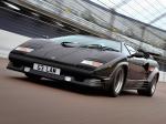 Lamborghini Countach 25th Anniversary 1988 года (UK)